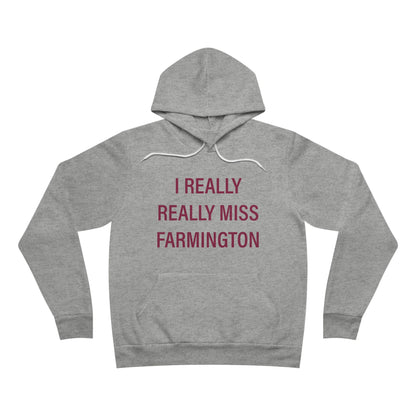 I Really Really Miss Farmington // Farmington Connecticut hoodie sweatshirts /// finding Connecticut 