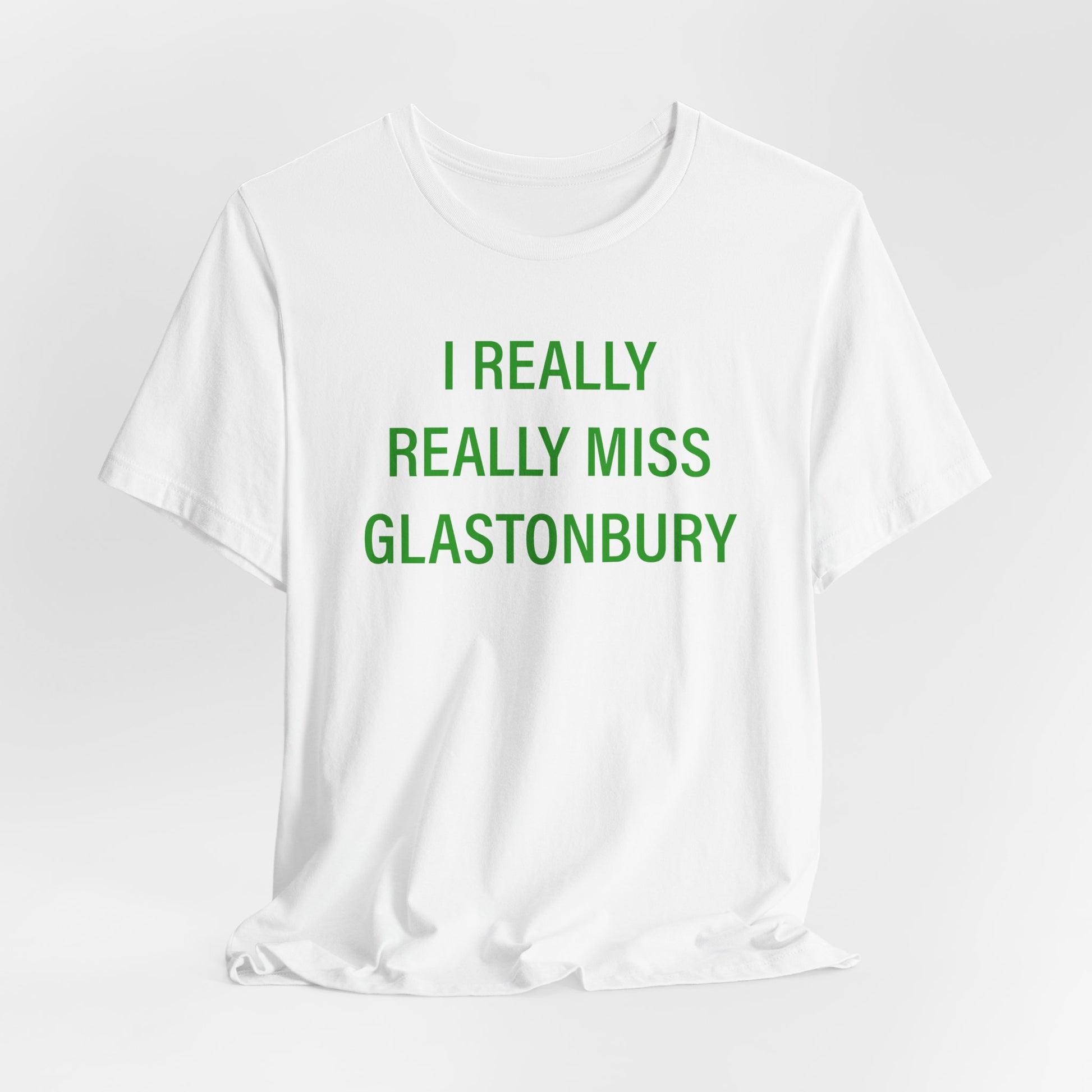 I Really Really Miss Glastonbury // Glastonbury Connecticut unisex t shirts // finding connecticut 