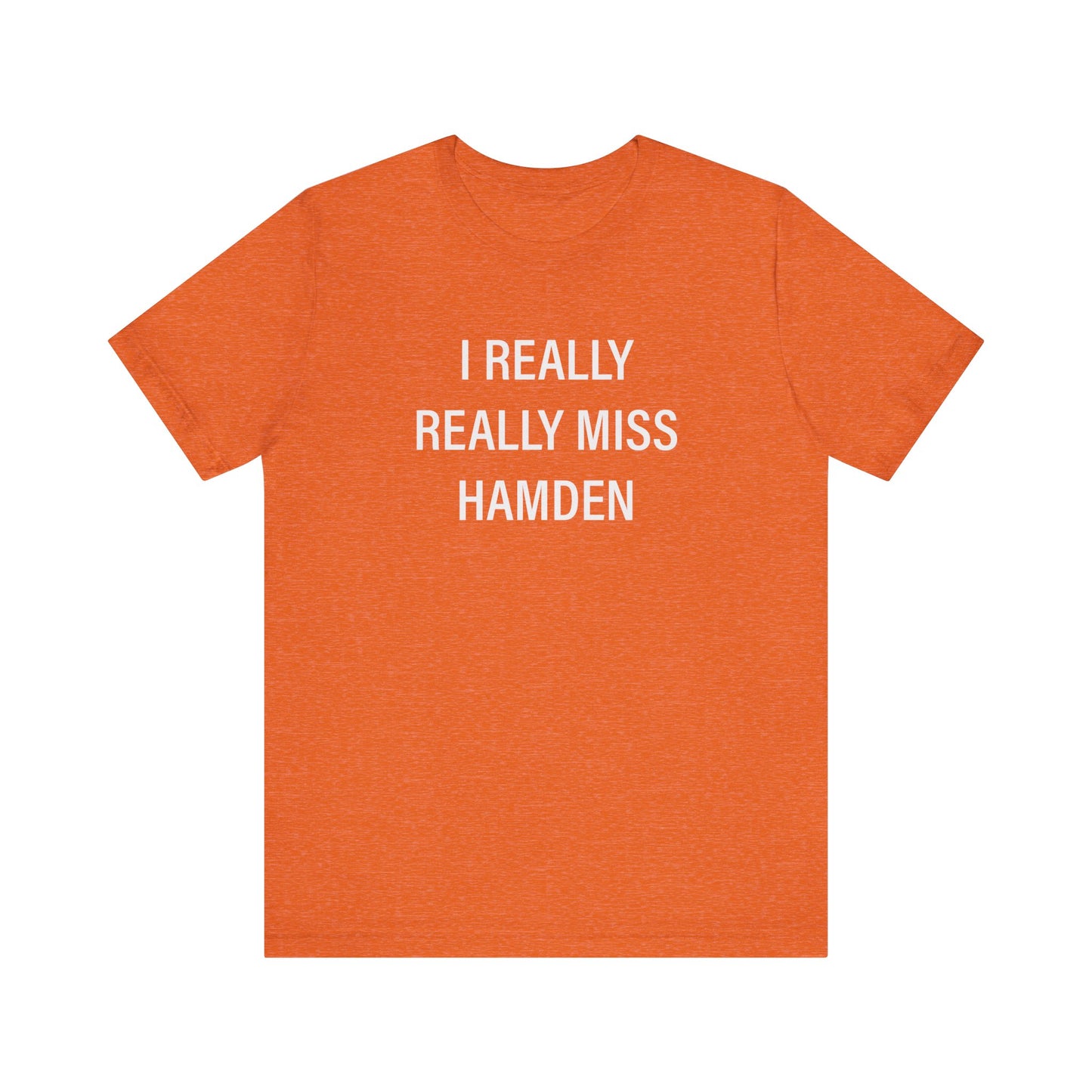 I Really Really Miss Hamden // Hamden CT unisex t shirt // finding connecticut 