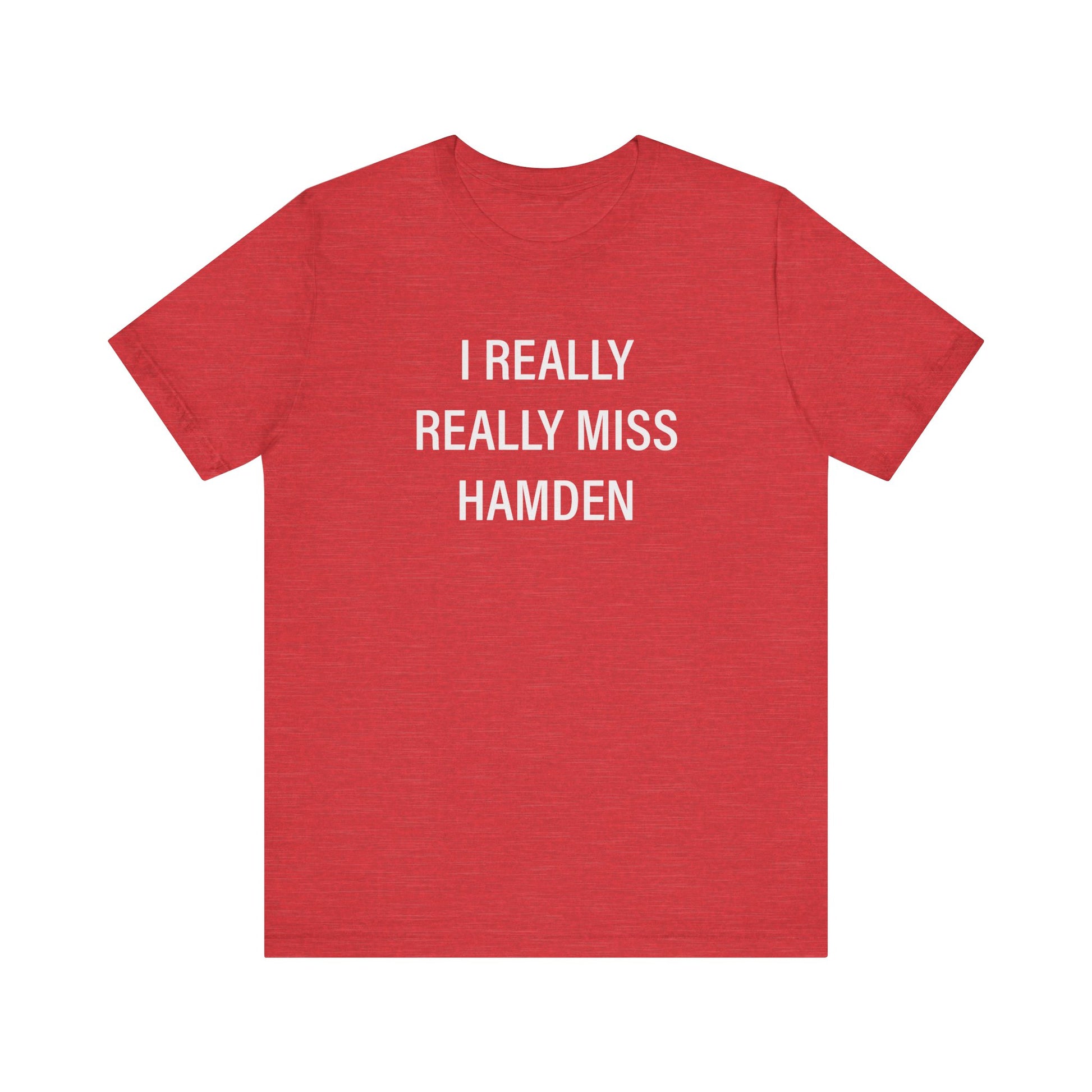 I Really Really Miss Hamden // Hamden CT unisex t shirt // finding connecticut 