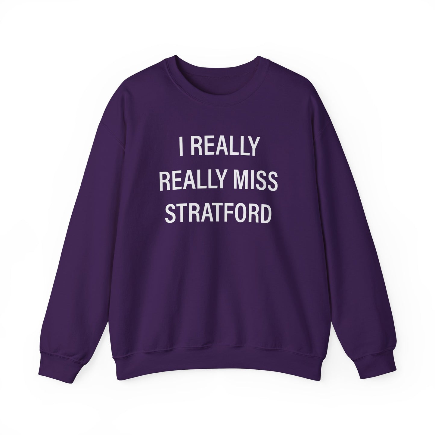 I Really Really Miss Stratford // Stratford CT Champion sweatshirt // finding connecticut  