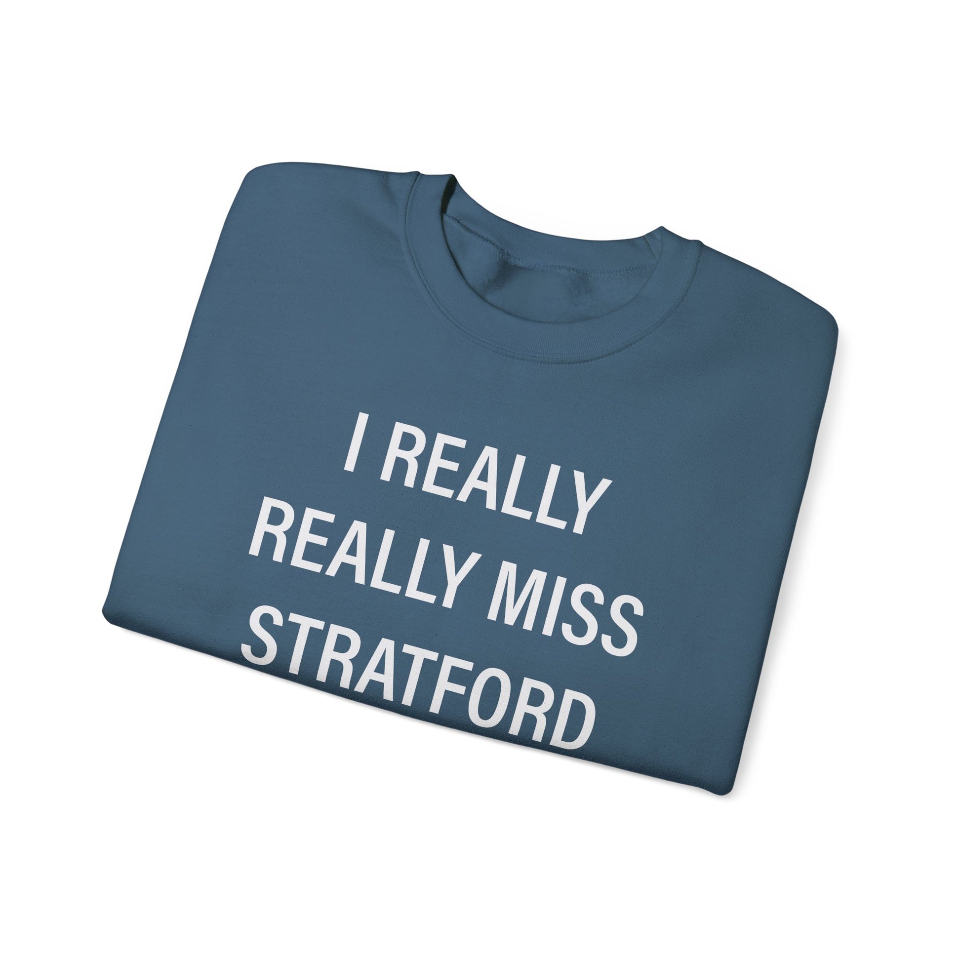 I Really Really Miss Stratford // Stratford CT Champion sweatshirt // finding connecticut  