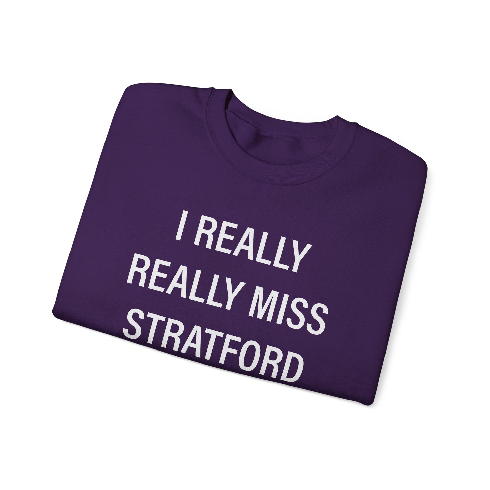 I Really Really Miss Stratford // Stratford CT Champion sweatshirt // finding connecticut  