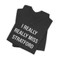 I Really Really Miss Stratford // Stratford CT unisex t shirt // finding connecticut  