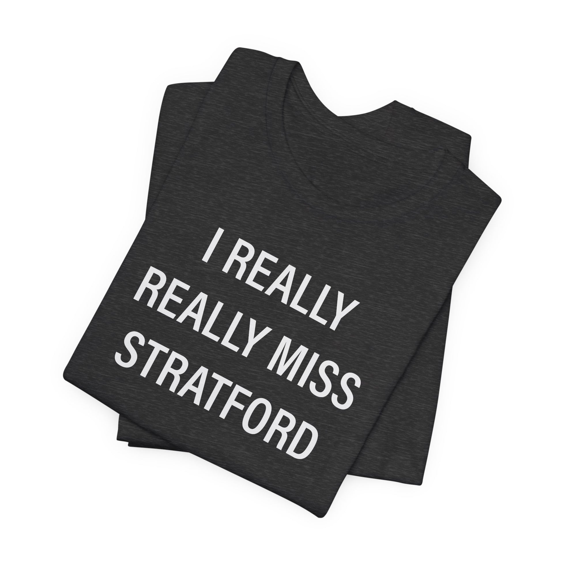 I Really Really Miss Stratford // Stratford CT unisex t shirt // finding connecticut  