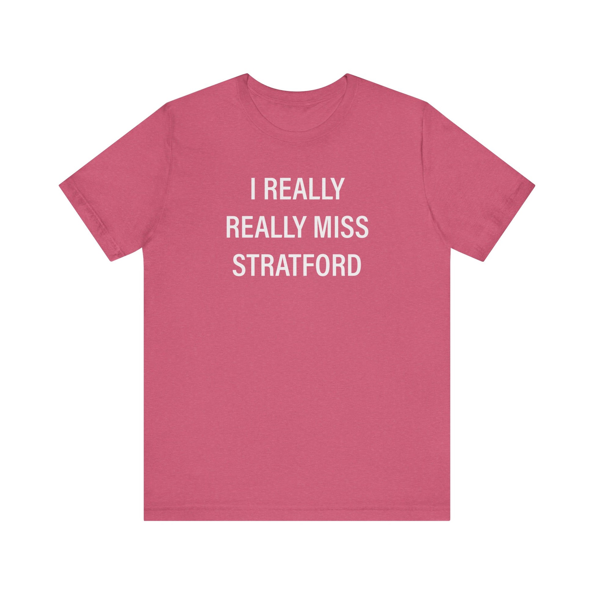I Really Really Miss Stratford // Stratford CT unisex t shirt // finding connecticut  
