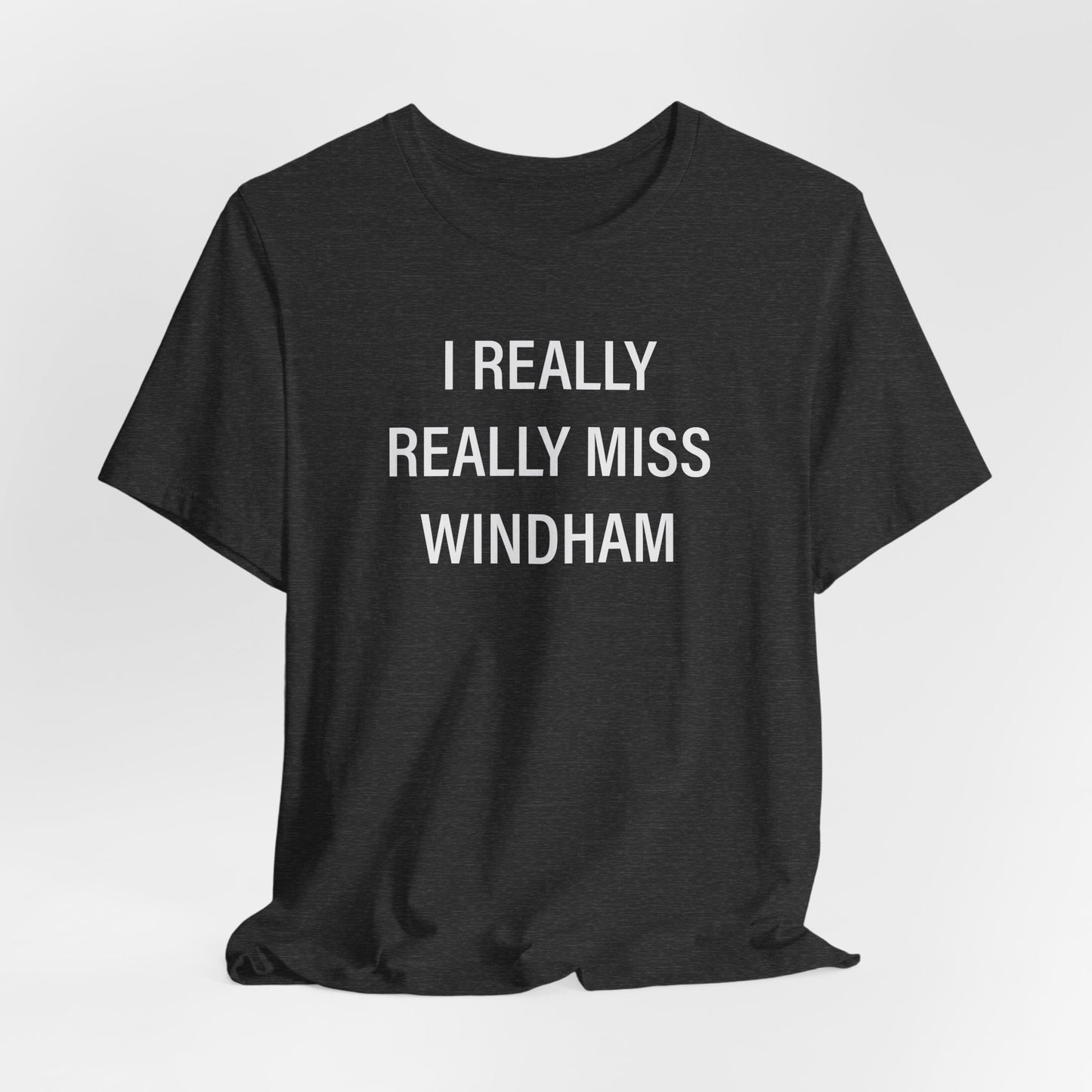 I Really Really Miss Windham // Windham Ct t shirts // finding connecticut 