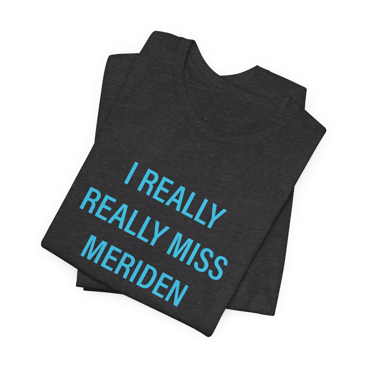 I Really Really Miss meriden // meriden connecticut unisex t shirt  // finding connecticut  