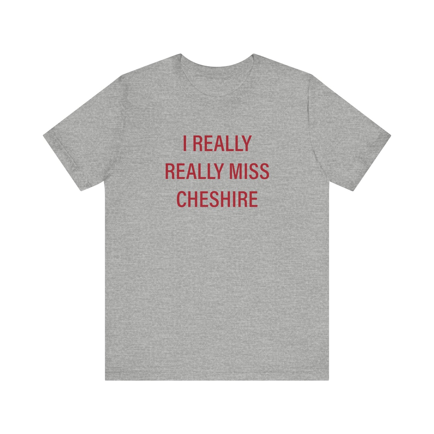 I Really Really miss Cheshire // cheshire connecticut t shirt // finding connecticut 