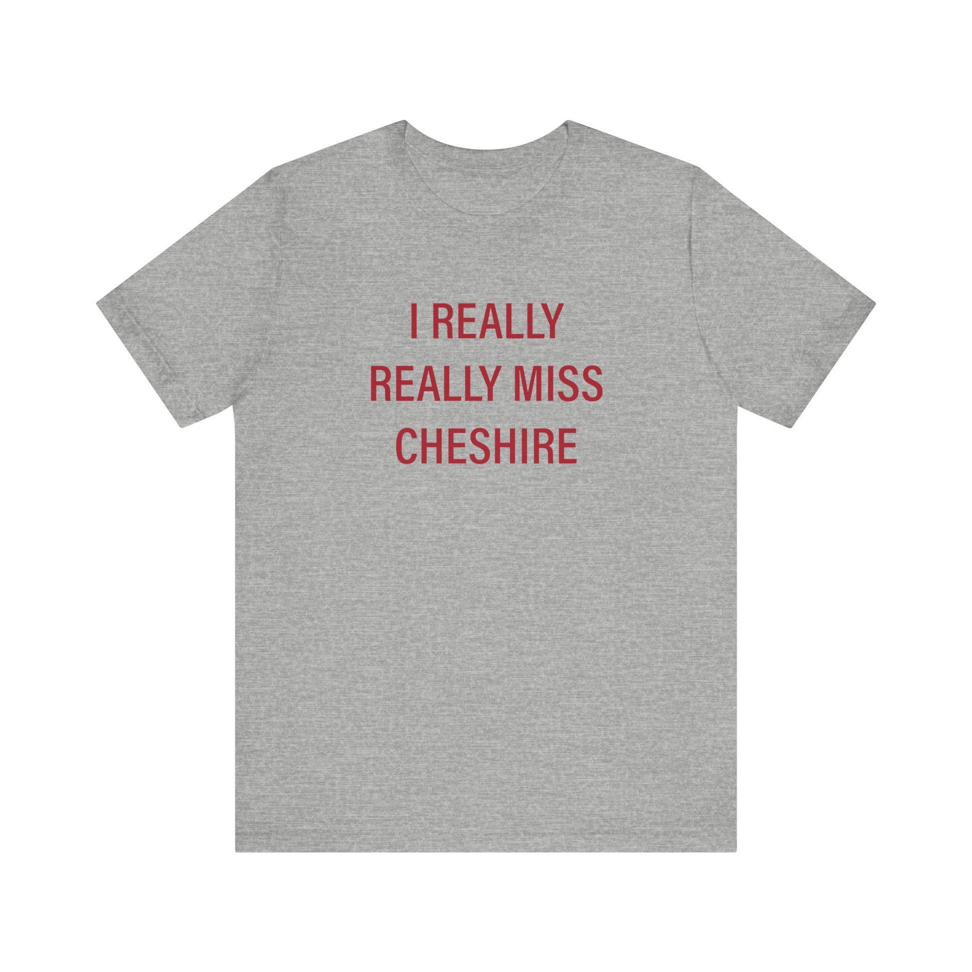 I Really Really miss Cheshire // cheshire connecticut t shirt // finding connecticut 