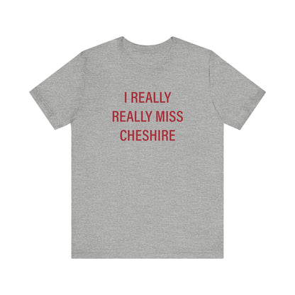 I Really Really miss Cheshire // cheshire connecticut t shirt // finding connecticut 