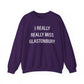 I Really Really miss Glastonbury // Glastonbury CT sweatshirt // finding connecticut