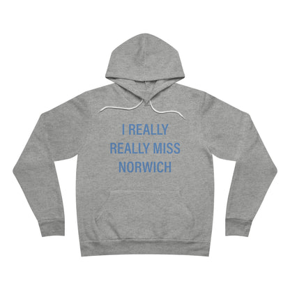 I really really miss Norwich // norwich connecticut unisex  hoodie sweatshirts   // finding connecticut  