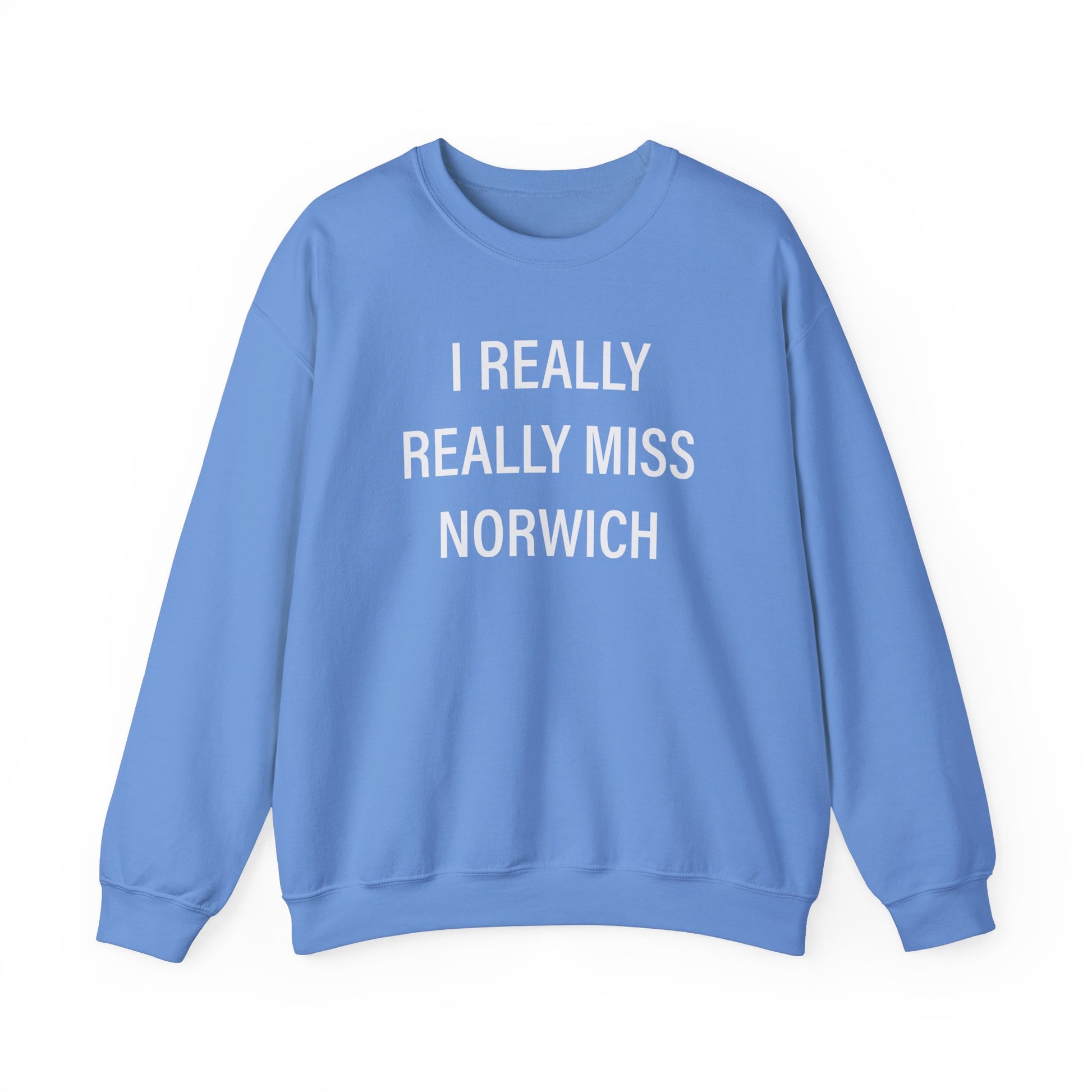 I really really miss Norwich // norwich connecticut unisex sweatshirt  // finding connecticut  