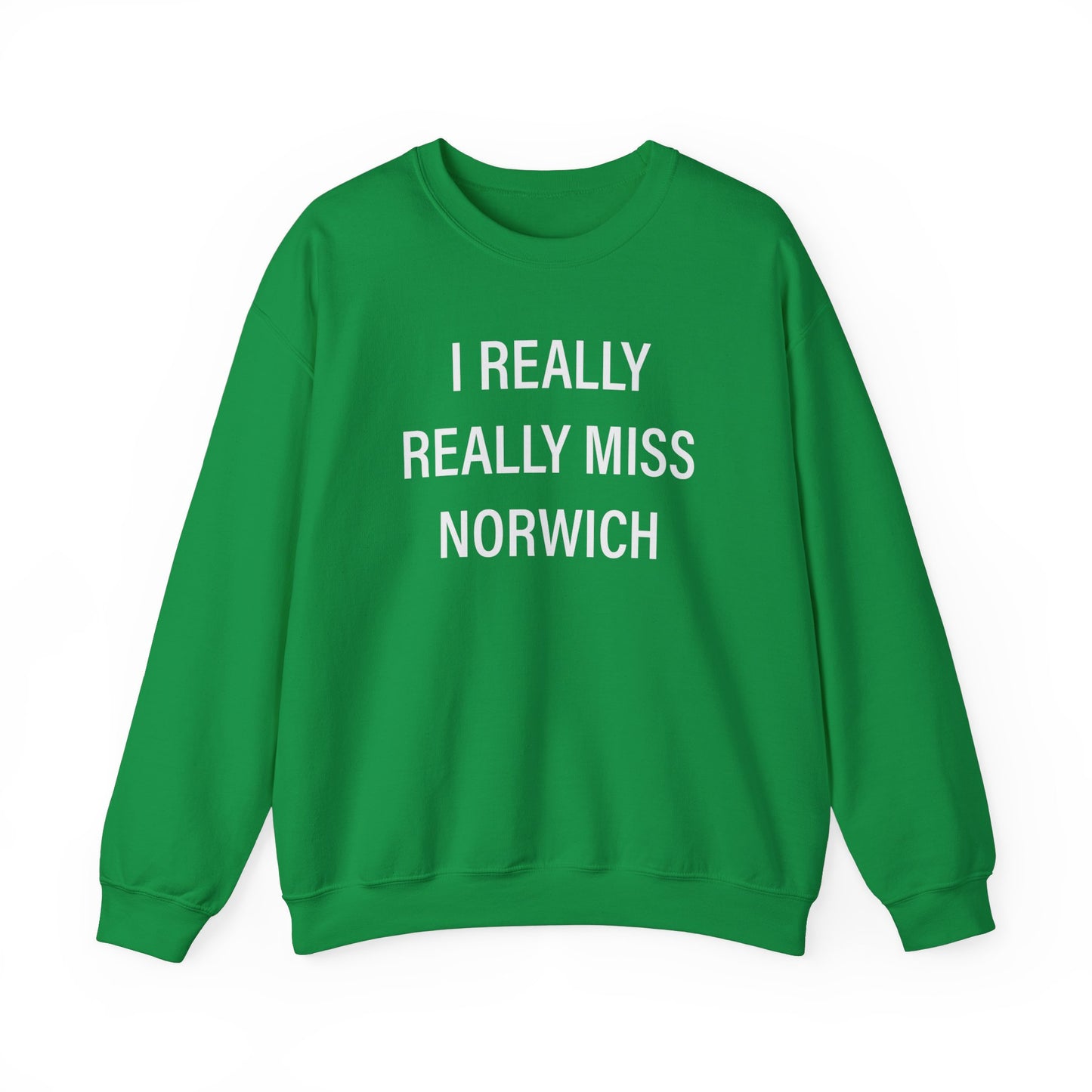 I really really miss Norwich // norwich connecticut unisex sweatshirt  // finding connecticut  