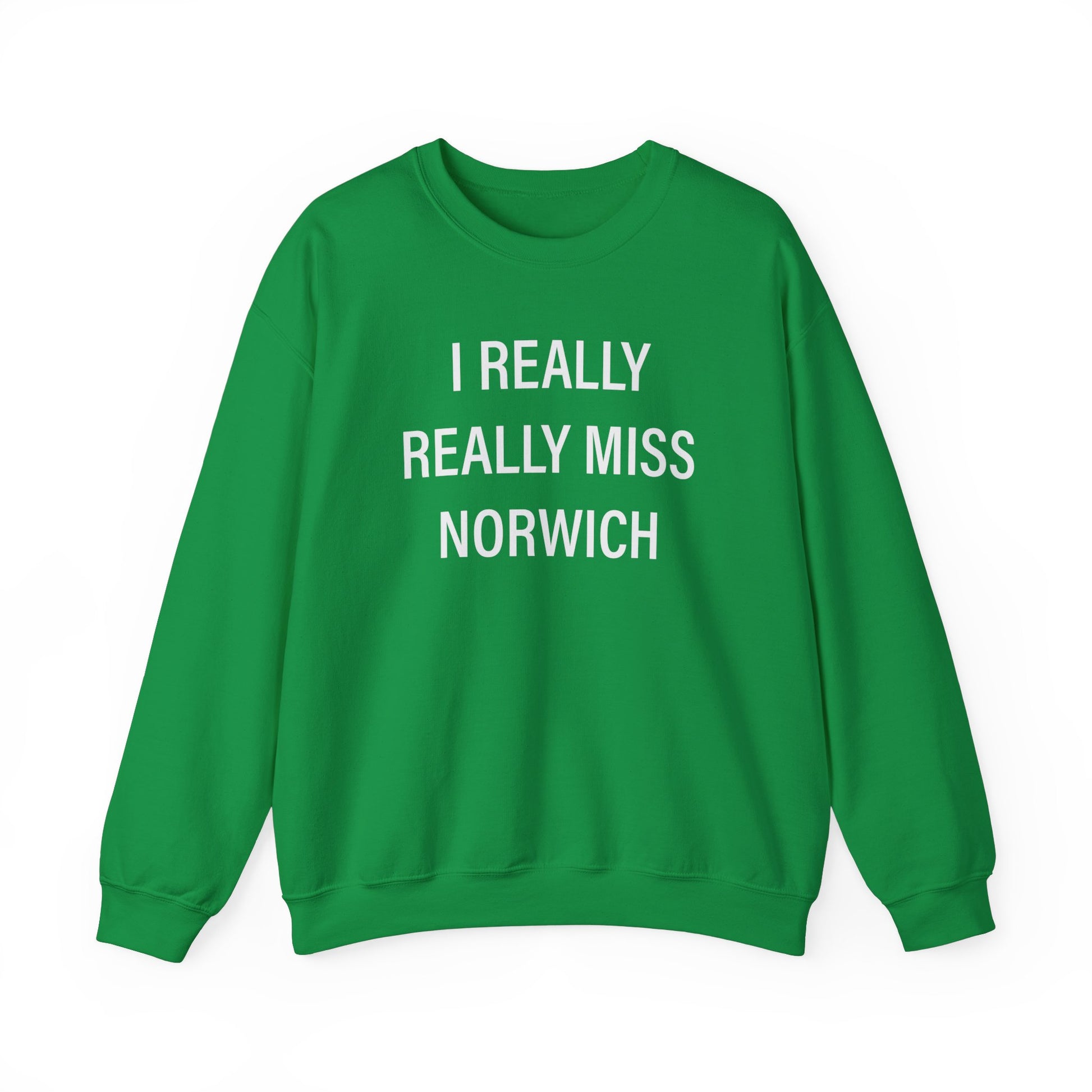 I really really miss Norwich // norwich connecticut unisex sweatshirt  // finding connecticut  