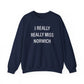 I really really miss Norwich // norwich connecticut unisex sweatshirt  // finding connecticut  