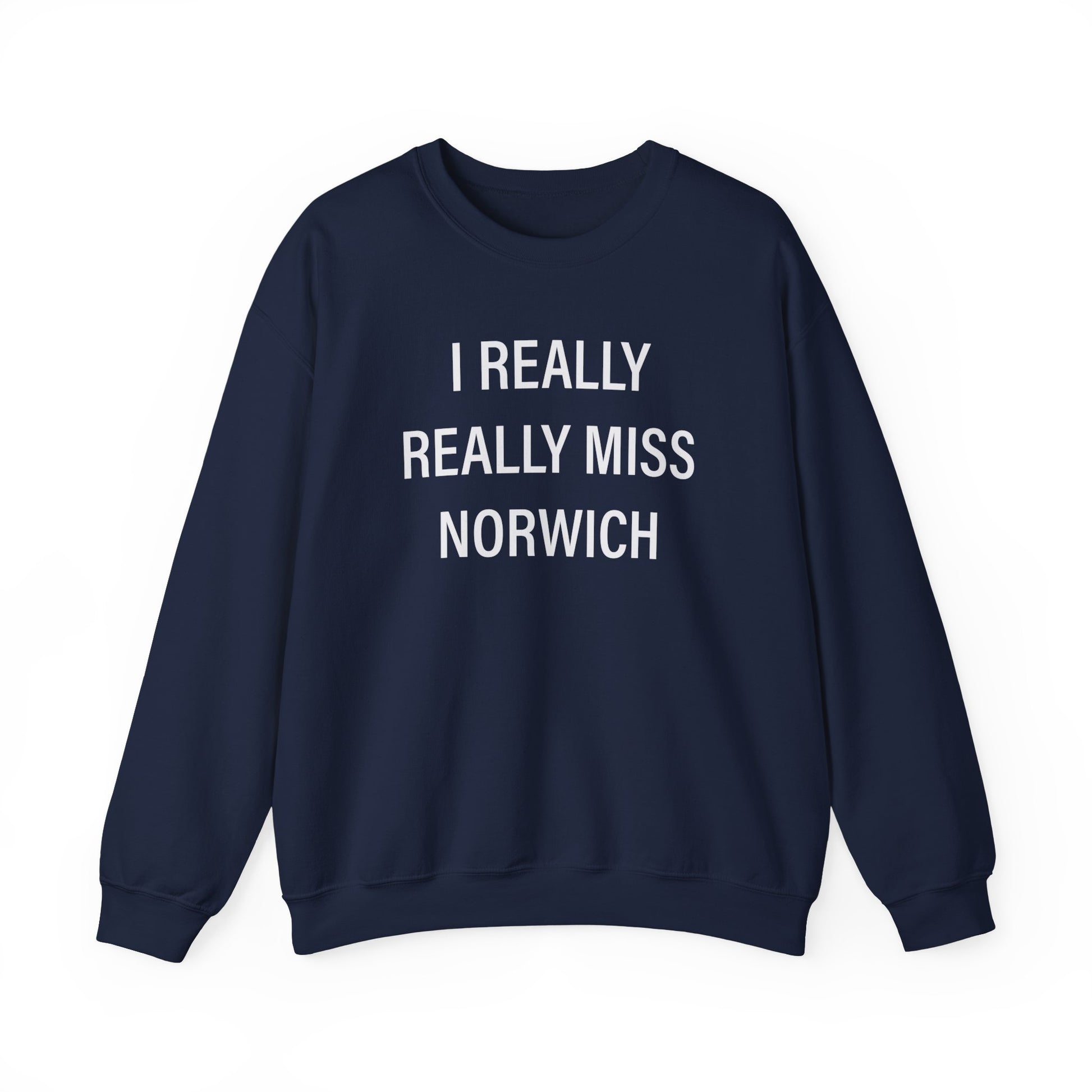 I really really miss Norwich // norwich connecticut unisex sweatshirt  // finding connecticut  