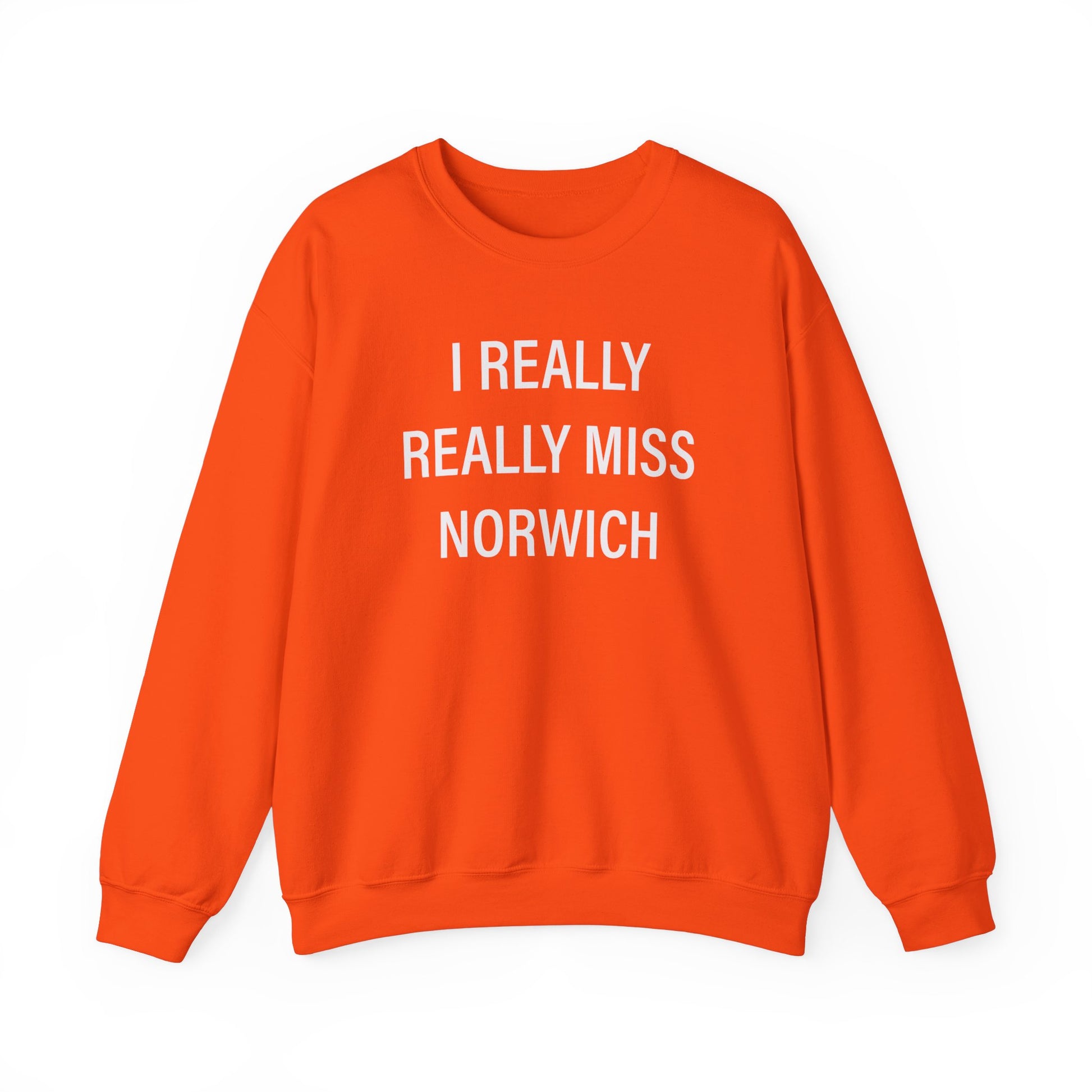 I really really miss Norwich // norwich connecticut unisex sweatshirt  // finding connecticut  