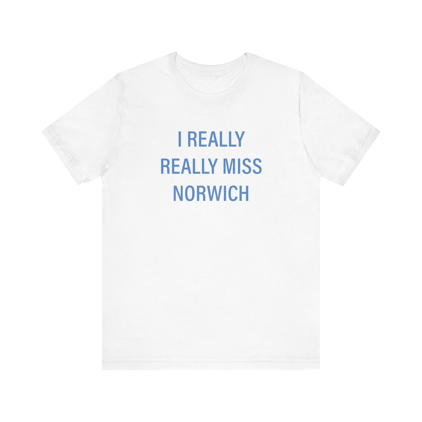 I really really miss Norwich // norwich connecticut unisex  t shirt // finding connecticut 