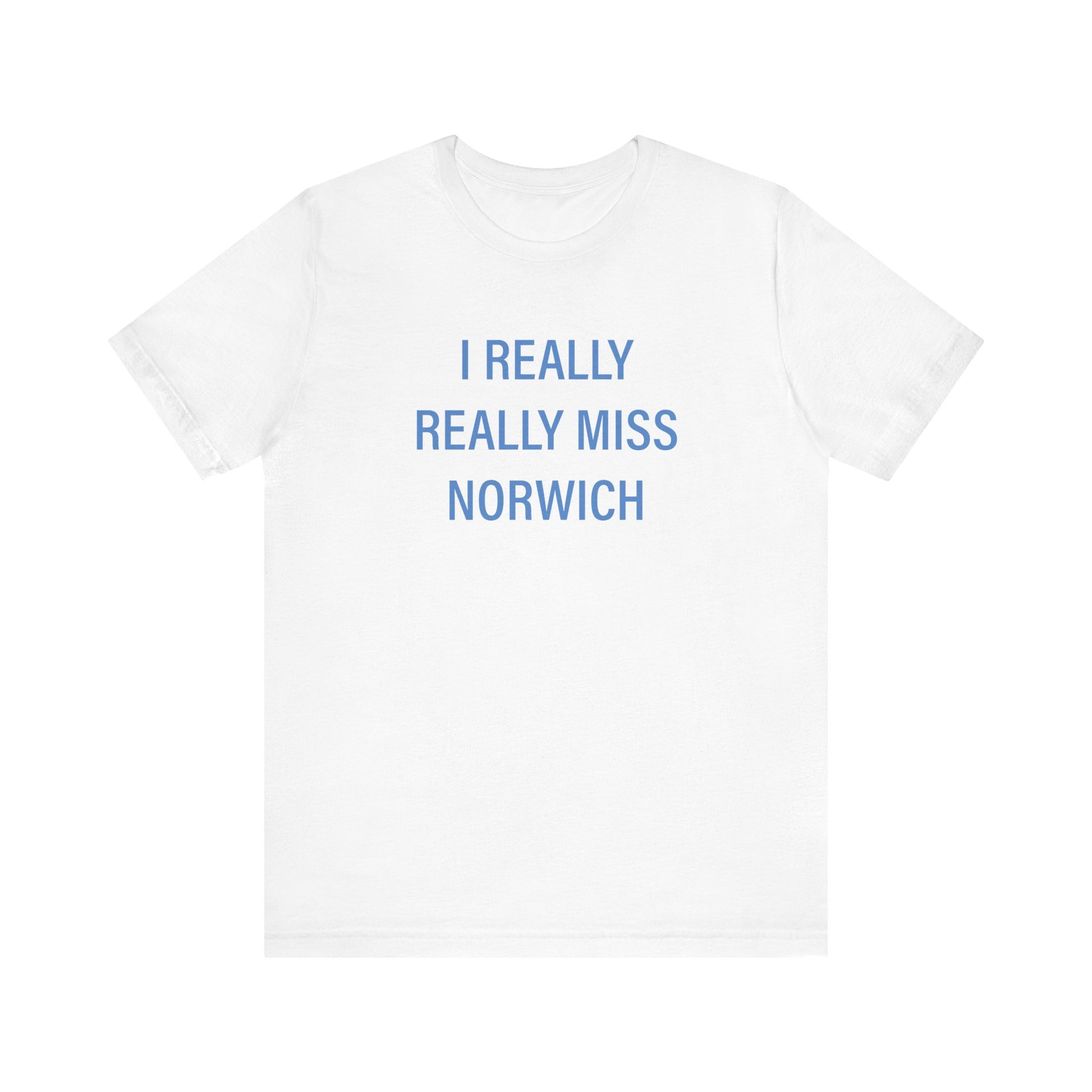 I really really miss Norwich // norwich connecticut unisex  t shirt // finding connecticut 