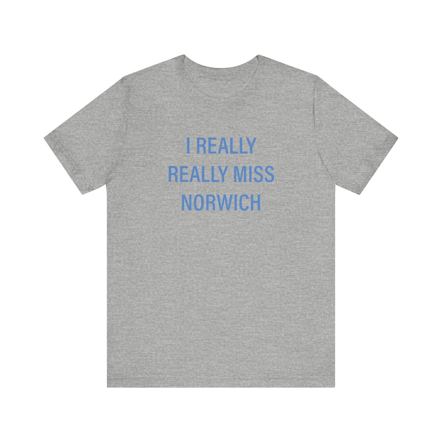I really really miss Norwich // norwich connecticut unisex  t shirt // finding connecticut 