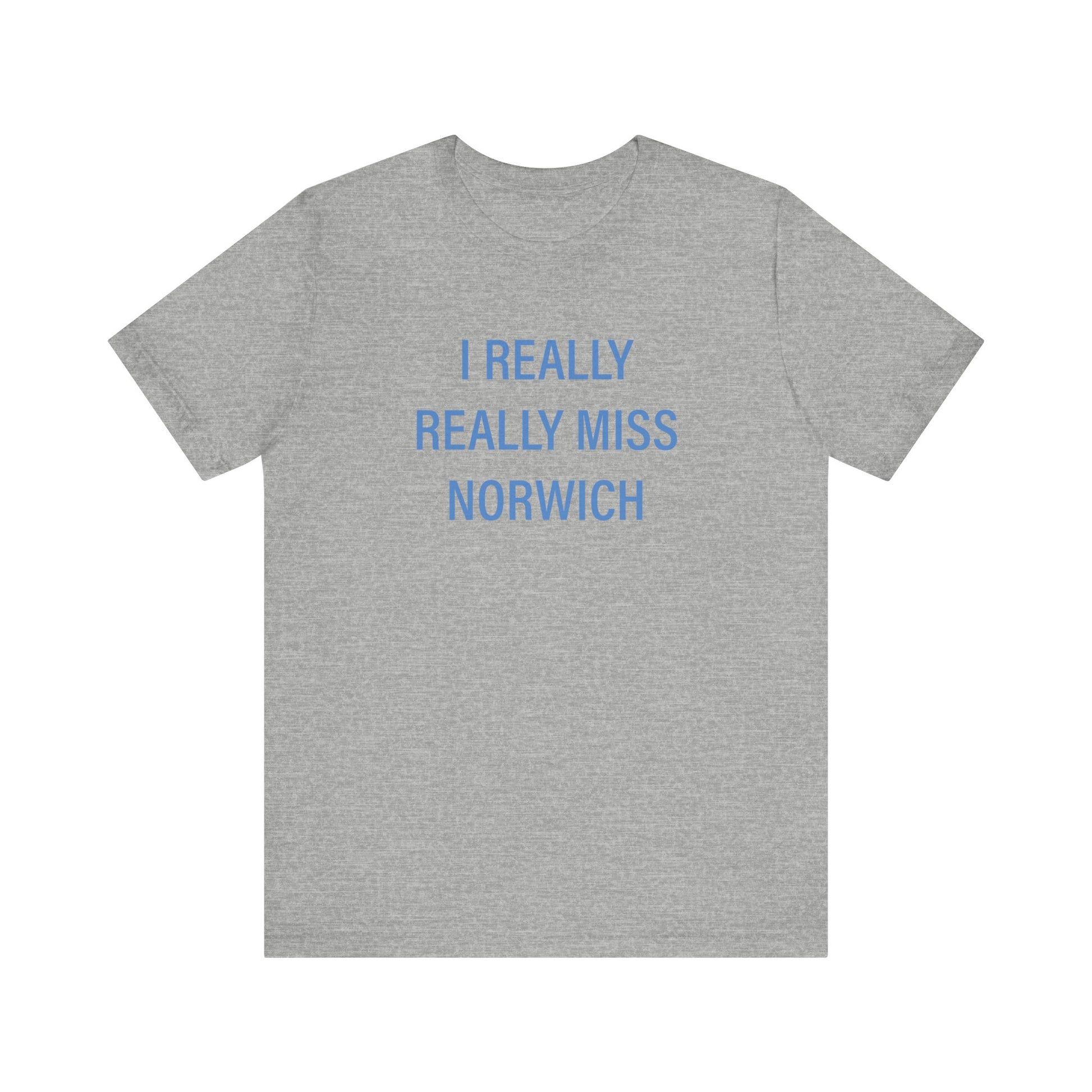 I really really miss Norwich // norwich connecticut unisex  t shirt // finding connecticut 