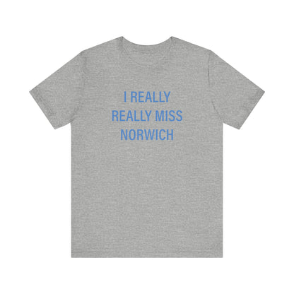 I really really miss Norwich // norwich connecticut unisex  t shirt // finding connecticut 
