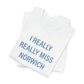 I really really miss Norwich // norwich connecticut unisex  t shirt // finding connecticut 