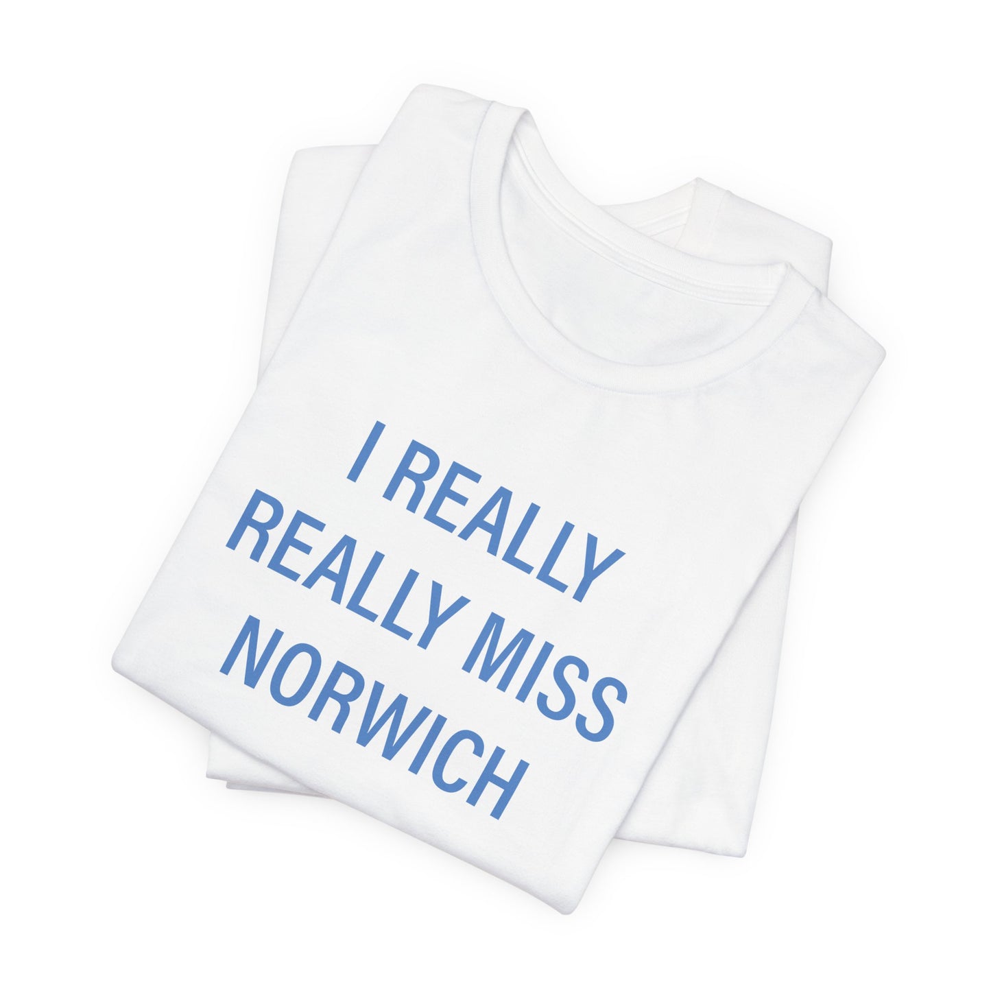 I really really miss Norwich // norwich connecticut unisex  t shirt // finding connecticut 