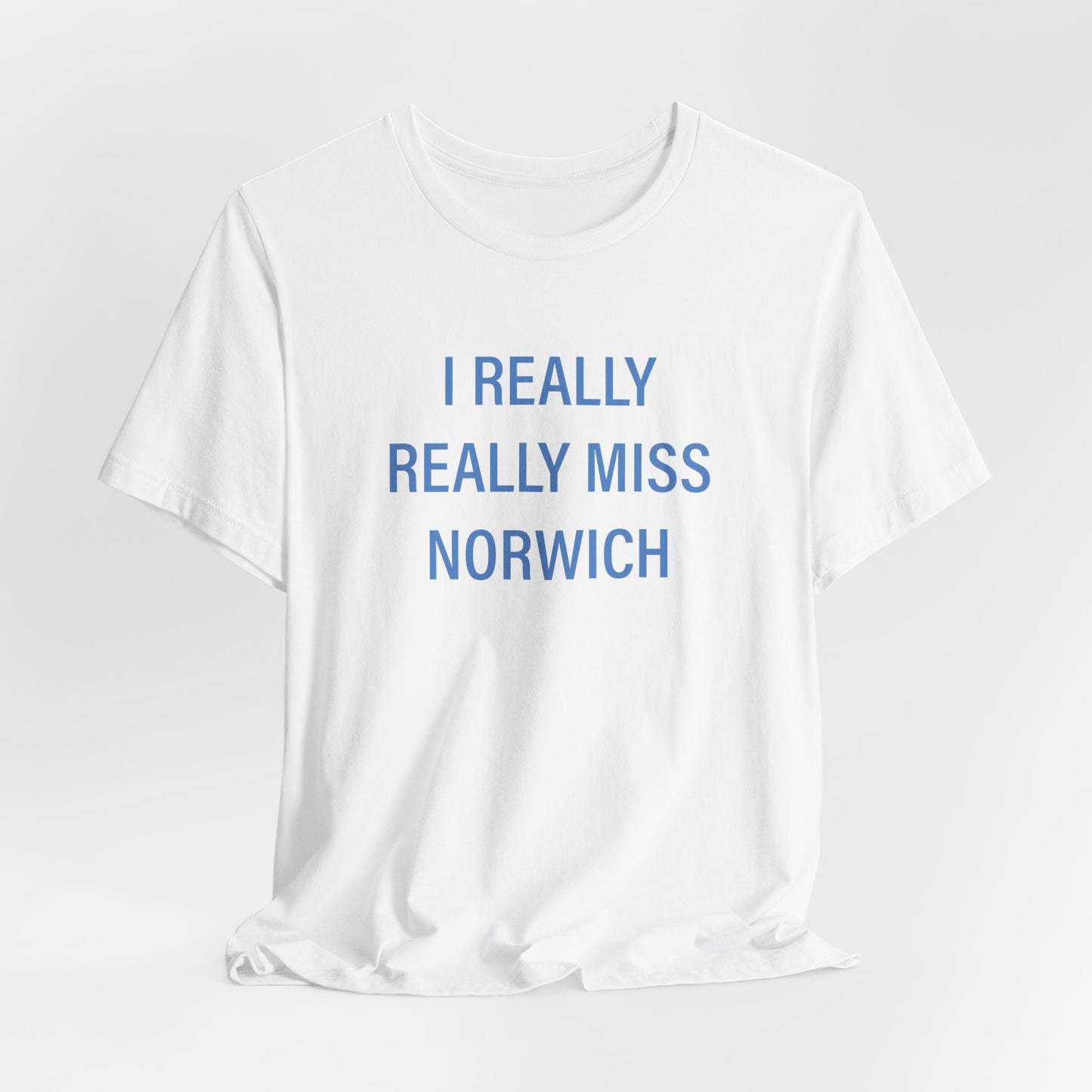 I really really miss Norwich // norwich connecticut unisex  t shirt // finding connecticut 