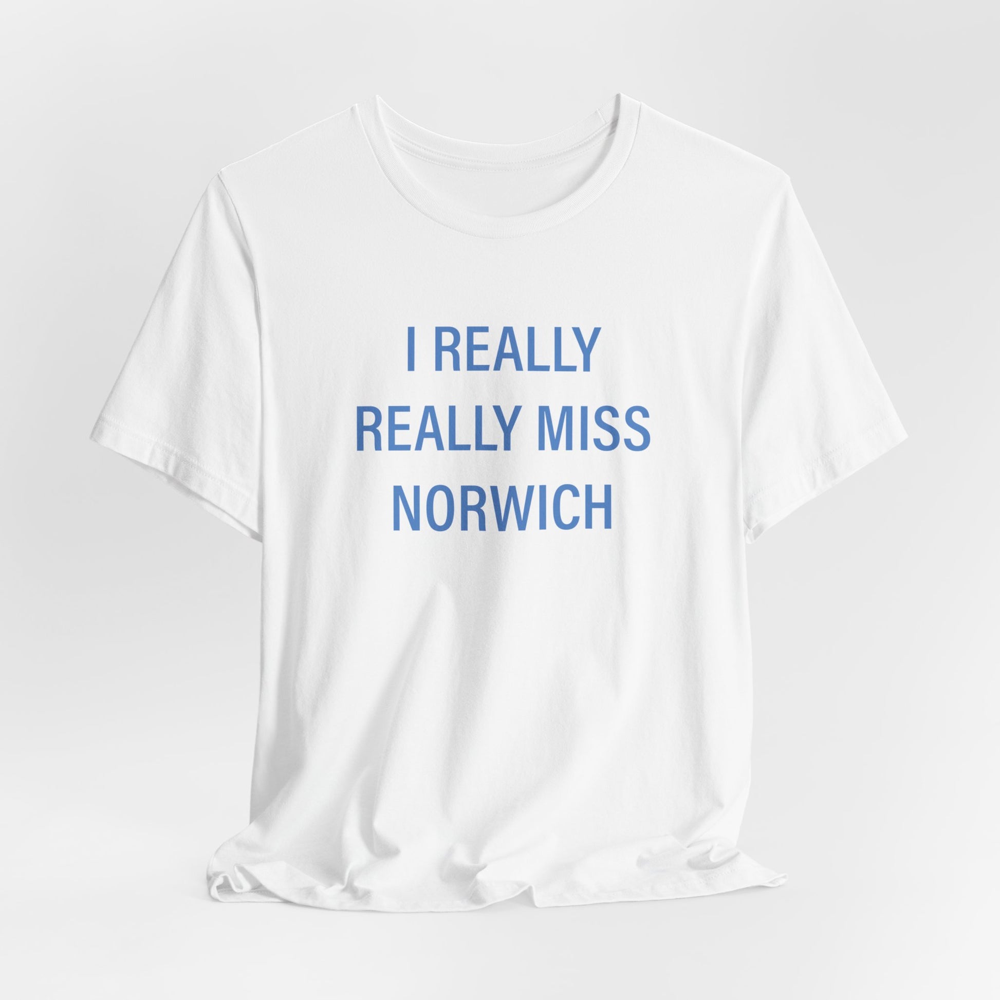 I really really miss Norwich // norwich connecticut unisex  t shirt // finding connecticut 