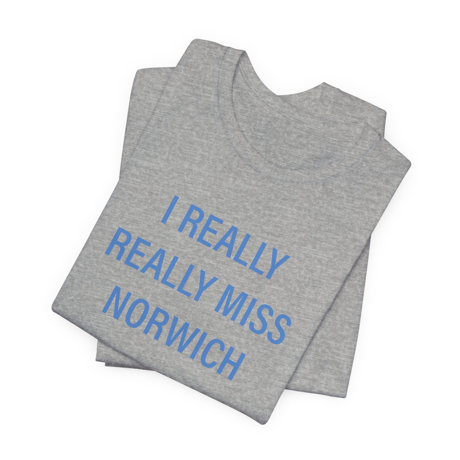 I really really miss Norwich // norwich connecticut unisex  t shirt // finding connecticut 