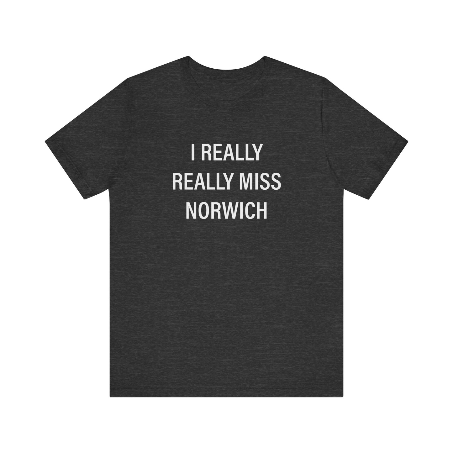 I really really miss Norwich // norwich ct unisex t shirt // finding connecticut  