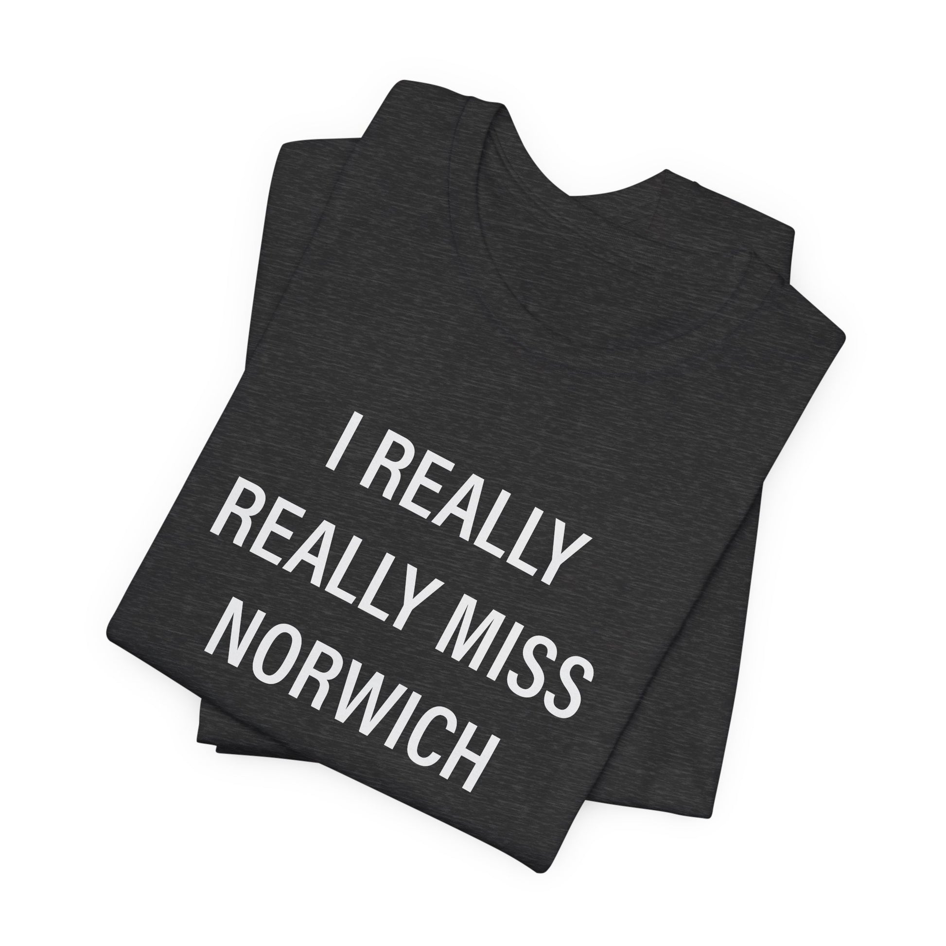 I really really miss Norwich // norwich ct unisex t shirt // finding connecticut  