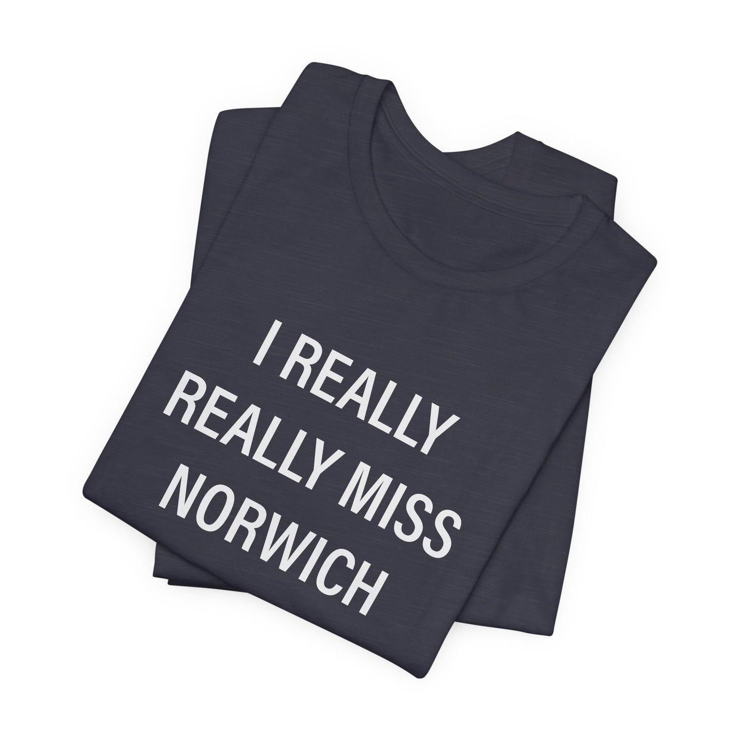 I really really miss Norwich // norwich ct unisex t shirt // finding connecticut  