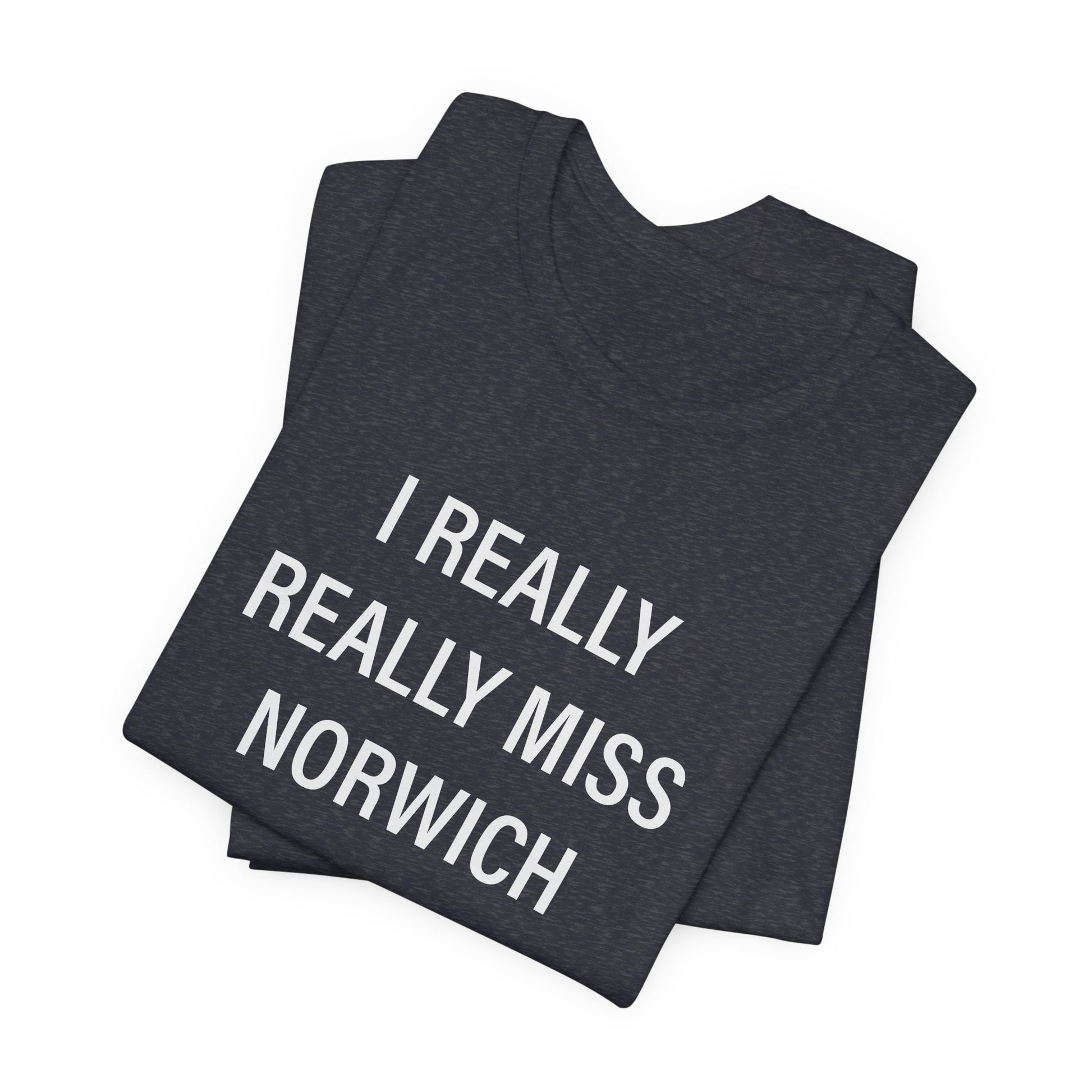 I really really miss Norwich // norwich ct unisex t shirt // finding connecticut  