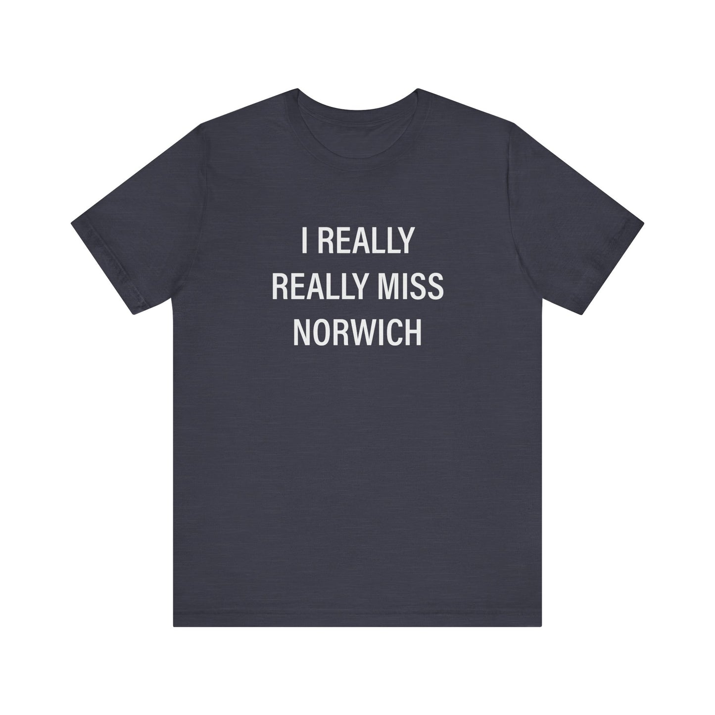 I really really miss Norwich // norwich ct unisex t shirt // finding connecticut  
