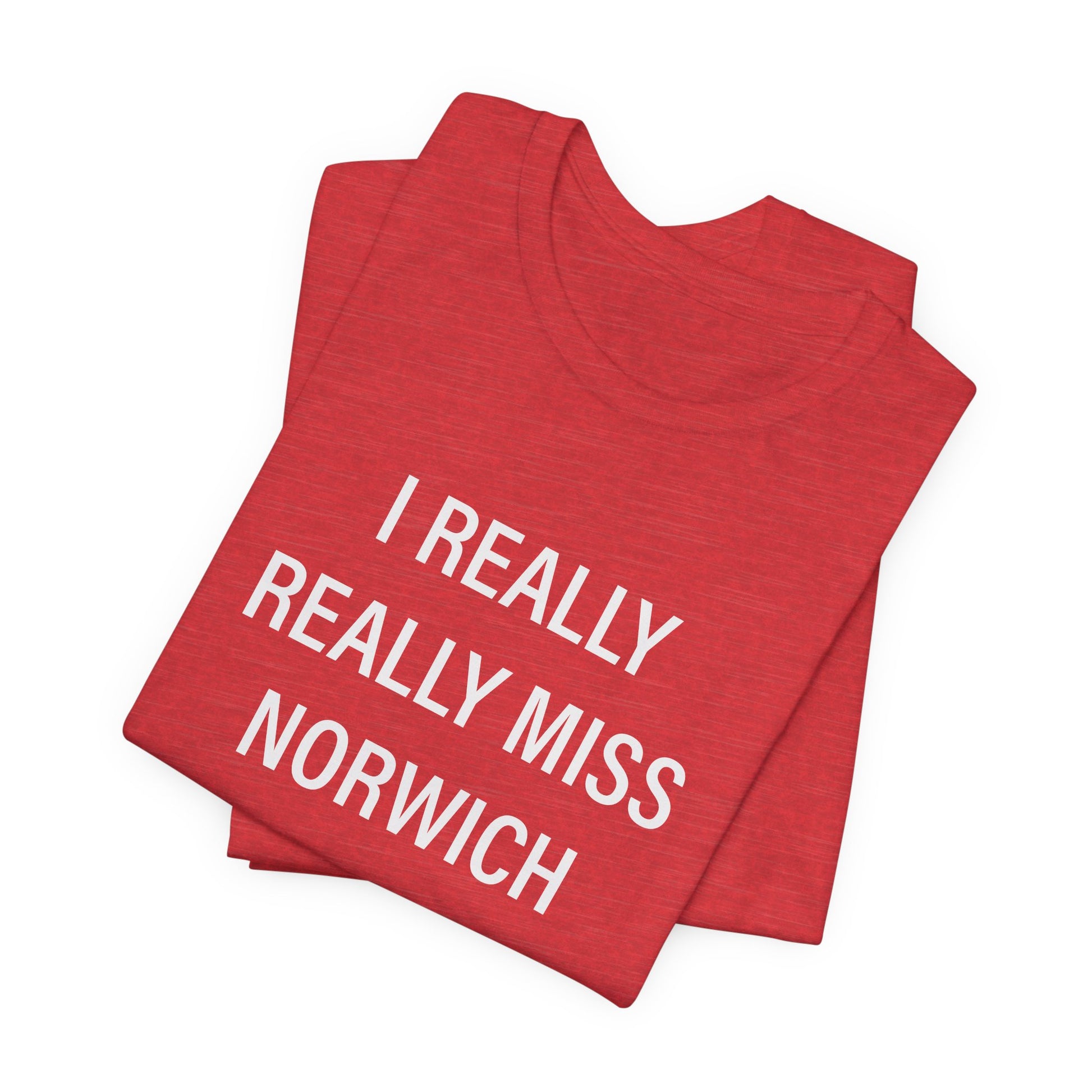 I really really miss Norwich // norwich ct unisex t shirt // finding connecticut  