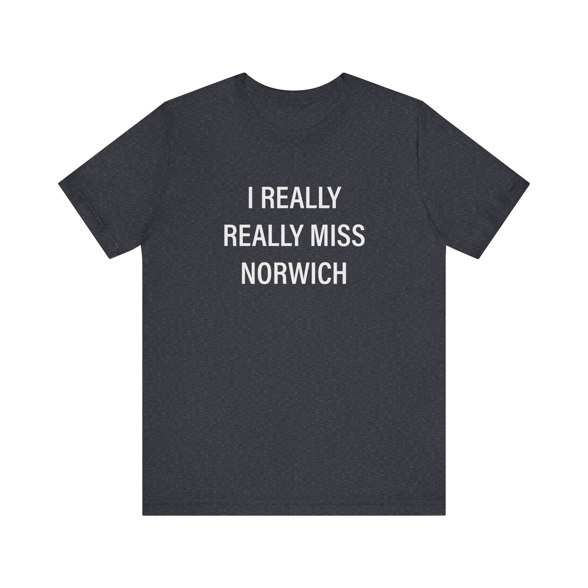I really really miss Norwich // norwich ct unisex t shirt // finding connecticut  