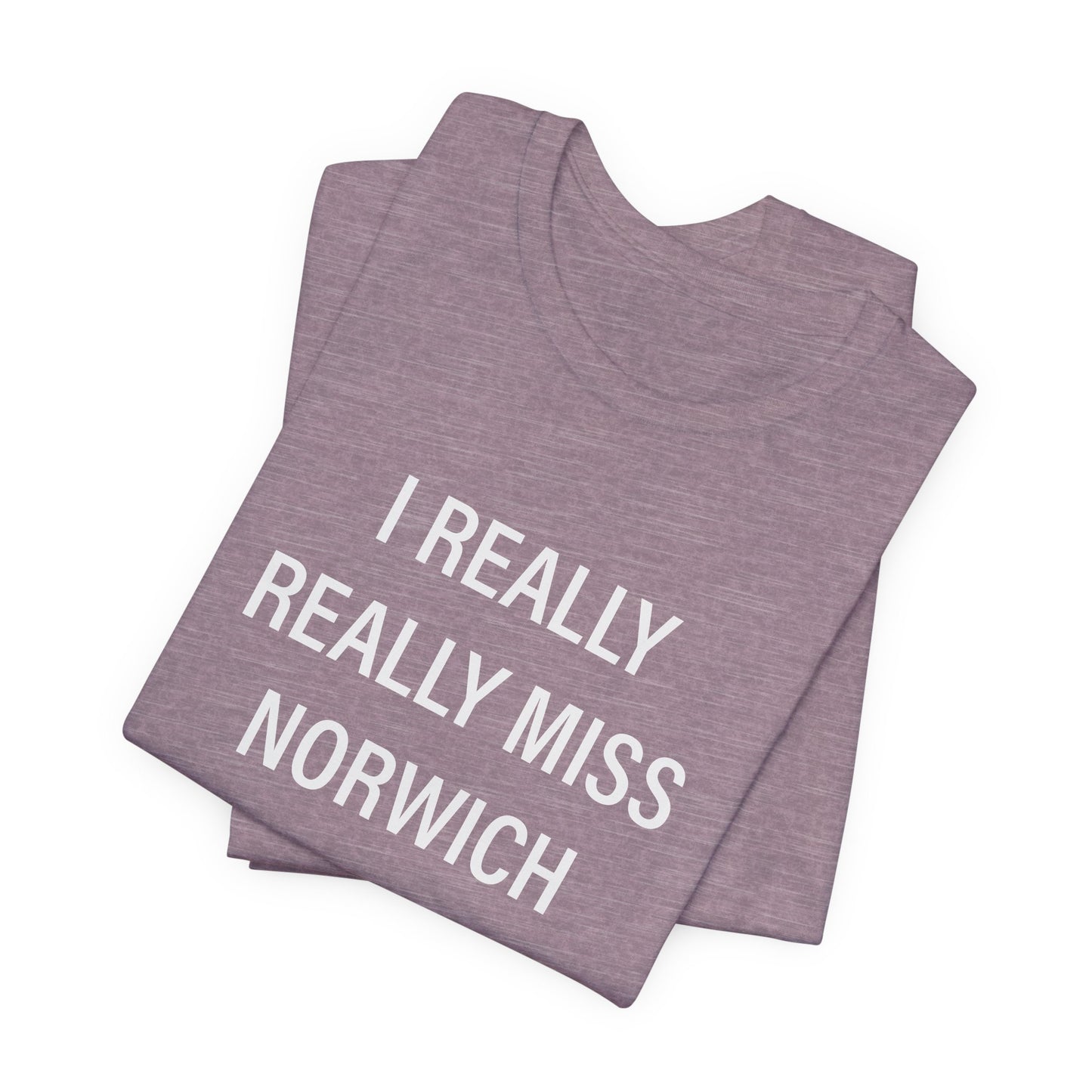 I really really miss Norwich // norwich ct unisex t shirt // finding connecticut  