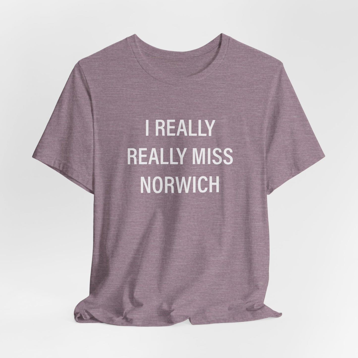 I really really miss Norwich // norwich ct unisex t shirt // finding connecticut  