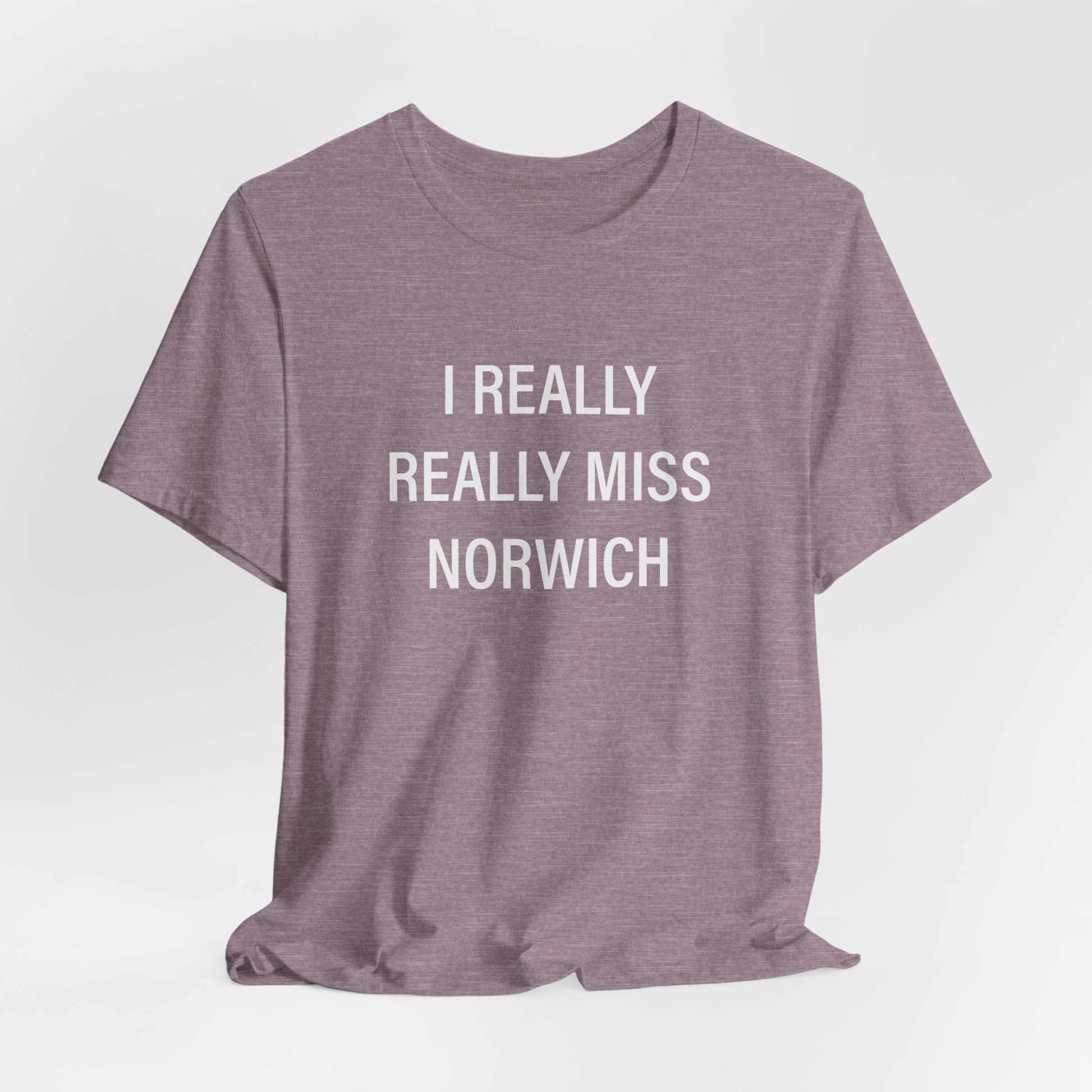 I really really miss Norwich // norwich ct unisex t shirt // finding connecticut  