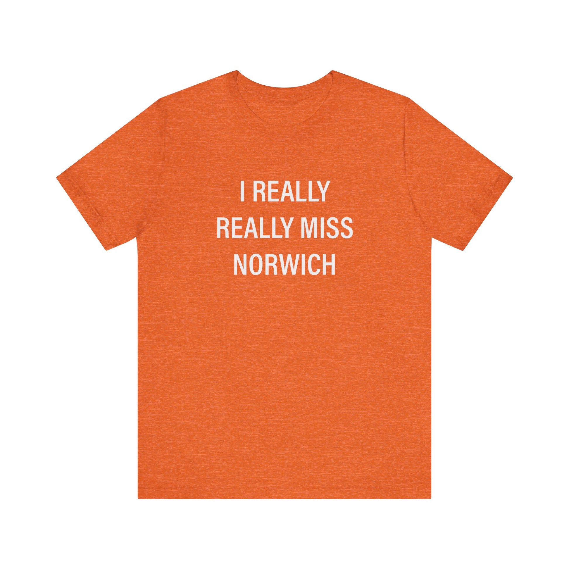 I really really miss Norwich // norwich ct unisex t shirt // finding connecticut  
