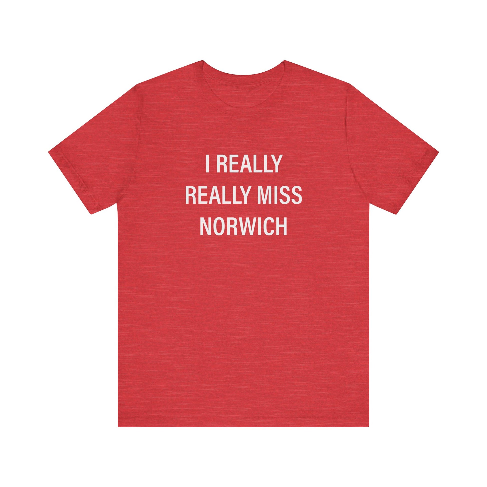 I really really miss Norwich // norwich ct unisex t shirt // finding connecticut  