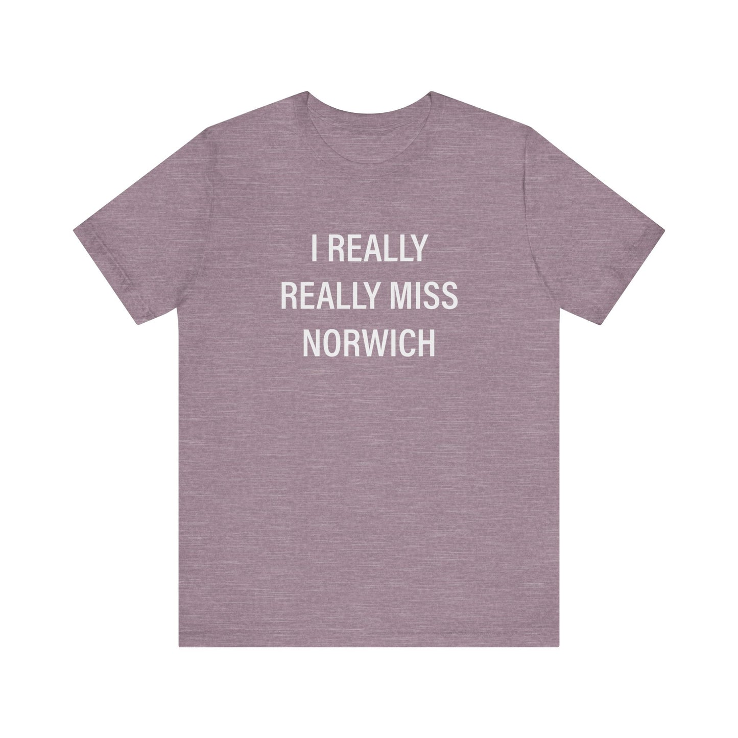 I really really miss Norwich // norwich ct unisex t shirt // finding connecticut  