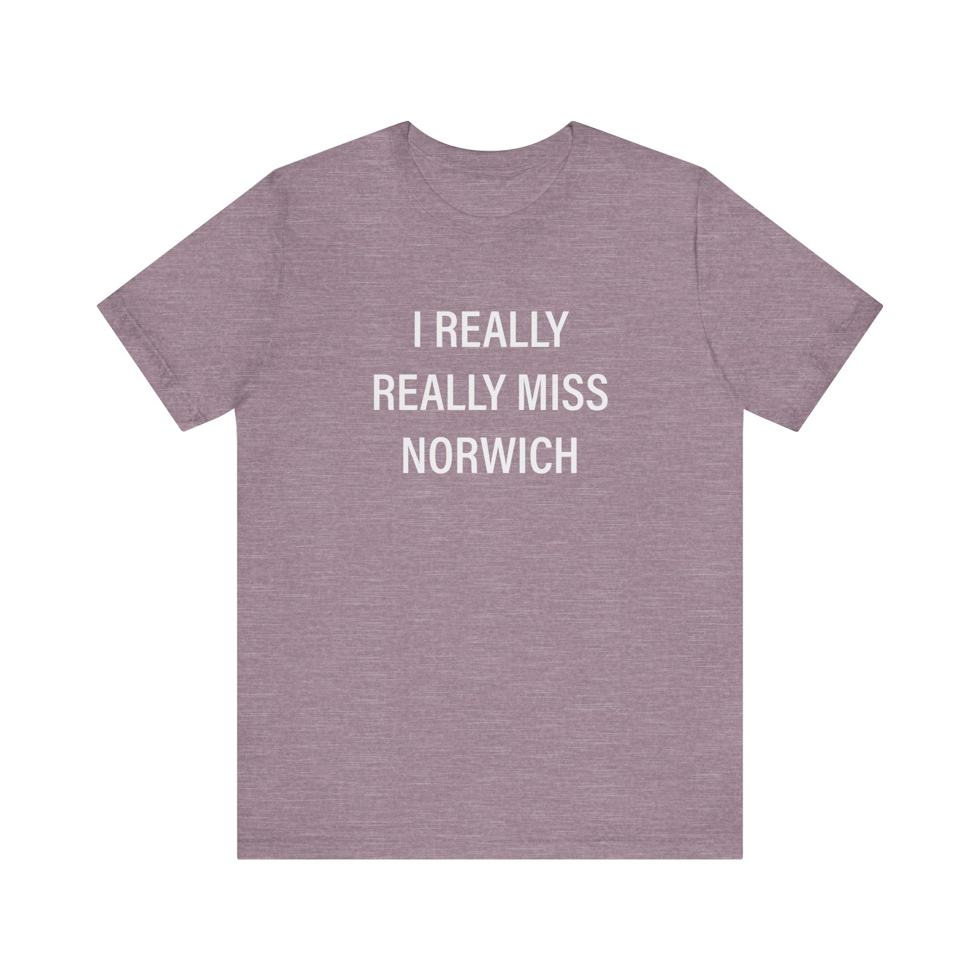 I really really miss Norwich // norwich ct unisex t shirt // finding connecticut  