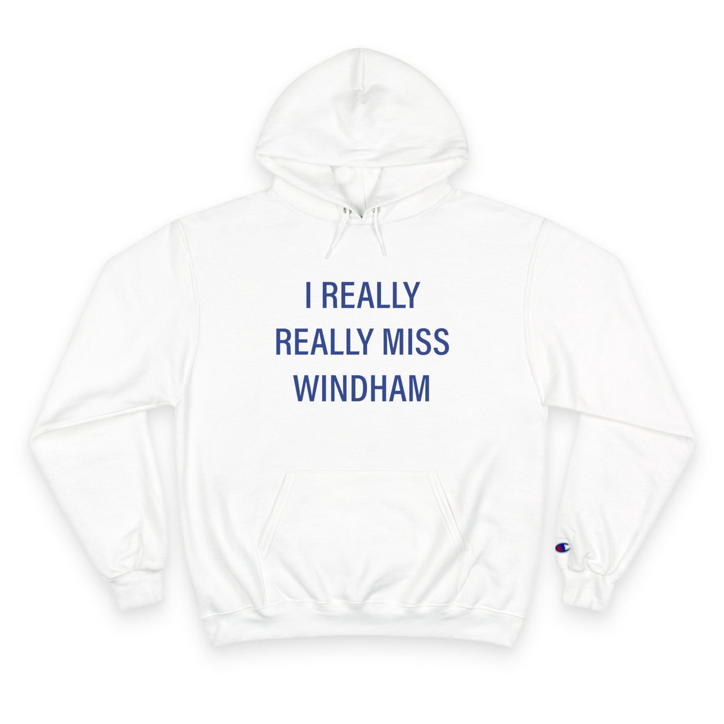 I really really miss Windham // Windham Connecticut unisex champion hoodie sweatshirt / finding connecticut 