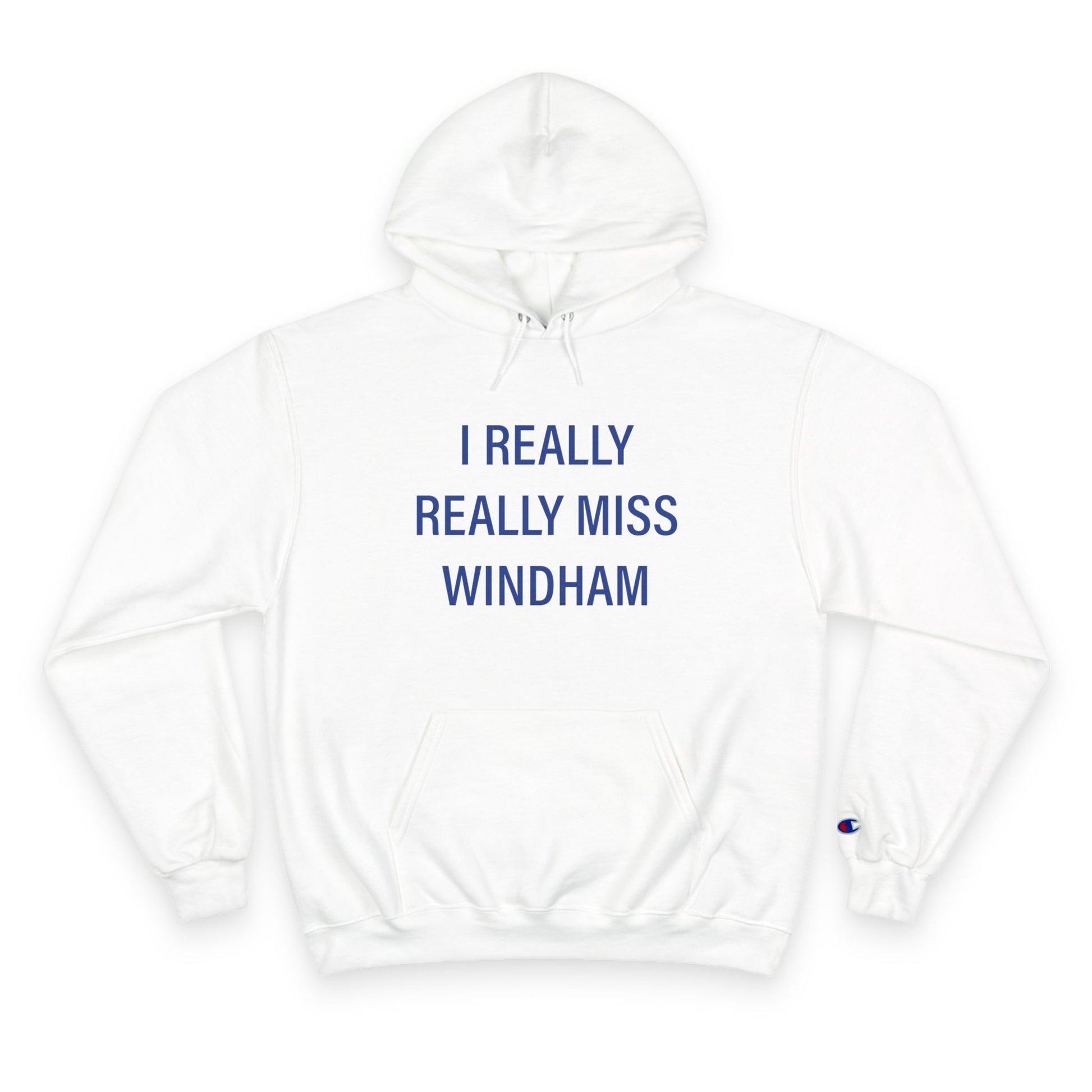 I really really miss Windham // Windham Connecticut unisex champion hoodie sweatshirt / finding connecticut 