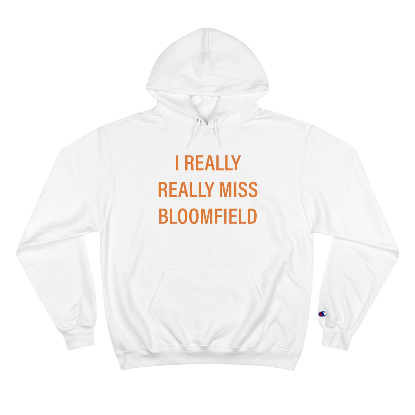 I really really miss bloomfield // bloomfield connecticut unisex champion hoodie sweatshirt   // finding connecticut 